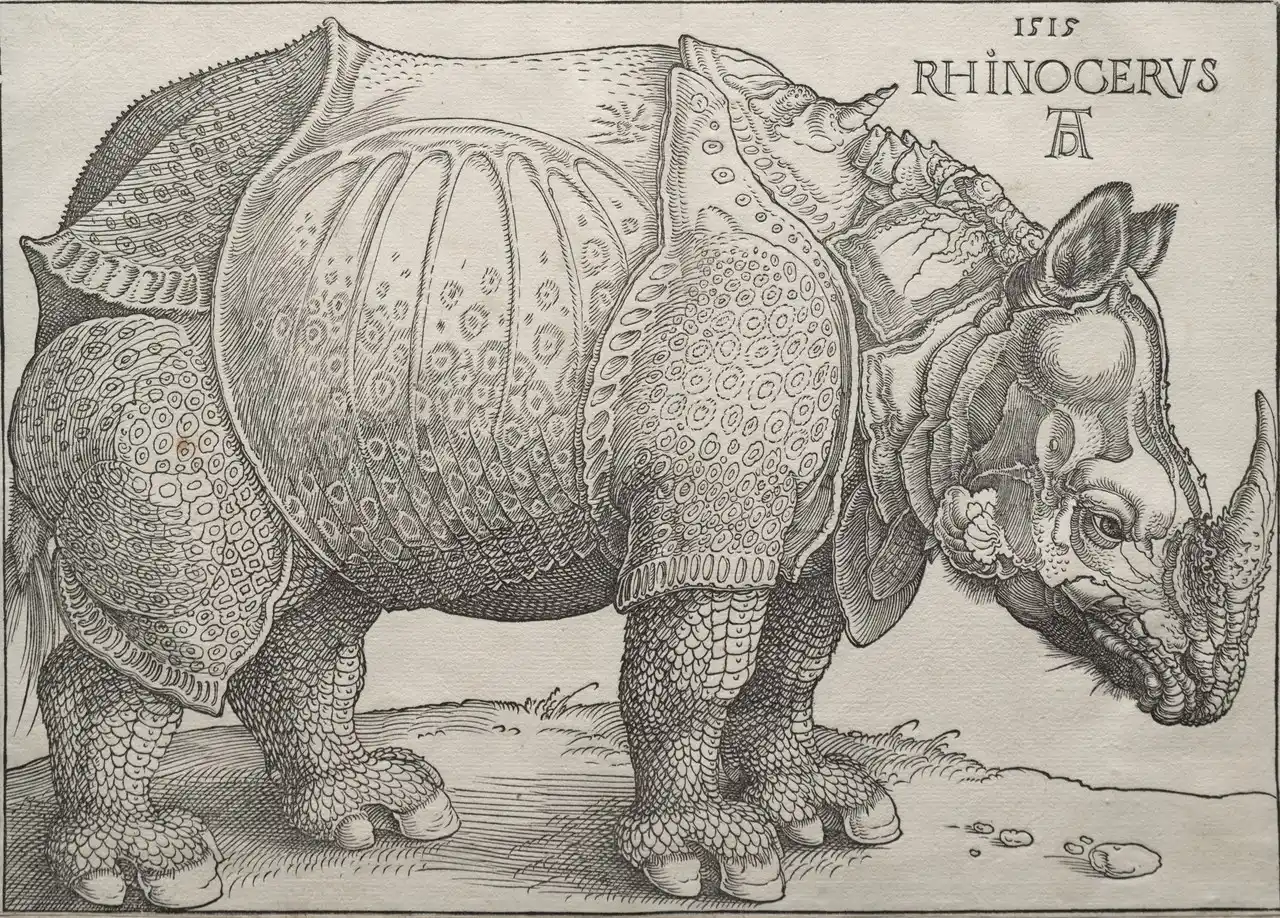 The Rhinoceros by Albrecht Dürer